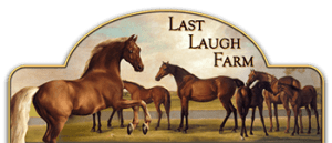 Last Laugh Farm Breeding Sporthorse Logo