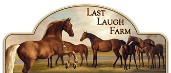 Last Laugh Farm Breeding Sporthorse Logo
